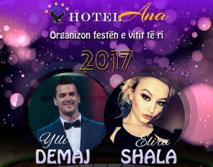 Organizim pÃ«r festÃ«n e vitit tÃ« ri 01.0.1.2017